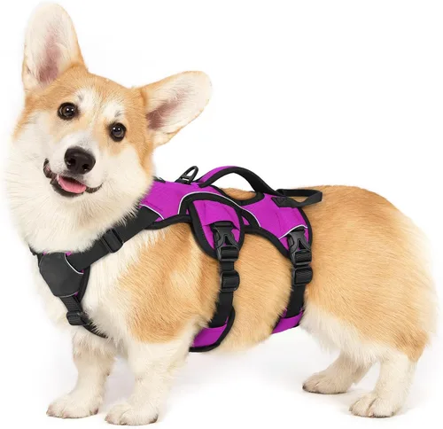Miniatura 21 de rabbitgoo - Arnés para perro a prueba de fugas, arnés para mascotas acolchado suave de cuerpo completo, chaleco reflectante ajustable sin tirones