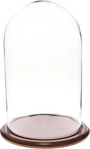 Plymor 11.75" x 20" Pantalla de cristal Dome Cloche (base de nogal)