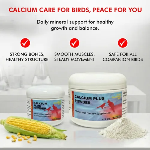 Miniatura 5 de Morning Bird Calcio Plus Polvo para Aves 2 oz – Suplemento de calcio con vitaminas y minerales esenciales – Apoya la salud ósea, la función muscular