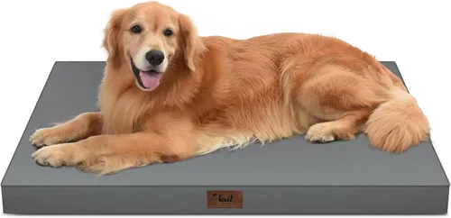 Miniatura 110 de Cama ortopédica de felpa para perros y cachorros medianos, camas impermeables para perros de 30 x 20 pulgadas con funda extraíble lavable, tapete