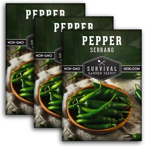 Miniatura 11 de Semillas de pimiento serrano mexicano para plantar Semillas de chile picante fresco y pimiento verde – Variedad tradicional sin OMG para salsa