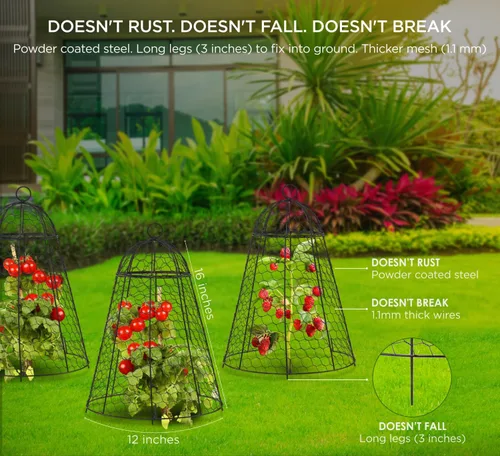Miniatura 2 de boldworks Cloches de Jardín para Plantas, Jaulas de Alambre de Pollo para Proteger de Animales al Aire Libre, Extra Grandes, Resistente a