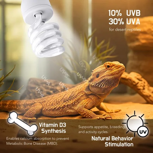 Miniatura 2 de Luz de reptil UVB, 10.0 24W, lámpara de bombilla de reptil UVA UVB para dragón barbudo, bombillas UVB para reptiles del desierto