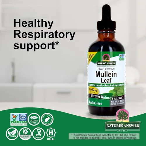 Miniatura 6 de Nature's Answer Extracto de hoja de gordolobo sin alcohol, 4 onzas – 2000 mg de apoyo a base de hierbas respiratorias y mucosas – vegano, sin OMG