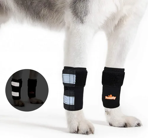 NeoAlly - Soporte de pierna delantera para perros y gatos, soporte de pierna de perro para mejorar la movilidad de las mascotas, manga de pierna de