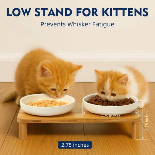 Miniatura 3 de DoogCat Cuencos elevados para gatos de interior – Mesa elevada de bambú para gatos con 2 platos de cerámica, altura ajustable