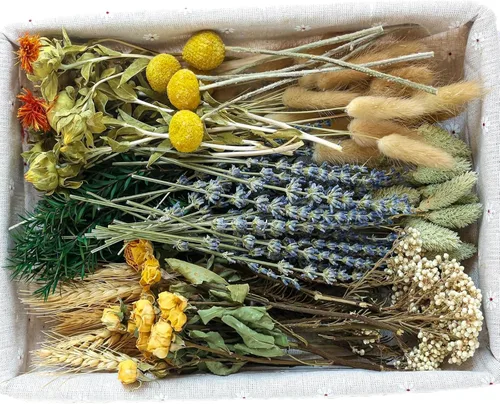 Miniatura 9 de Juego de flores secas naturales, flores secas a granel con tallos, margaritas secas, hierba de cola de conejo seca, mini ramo (blanco)