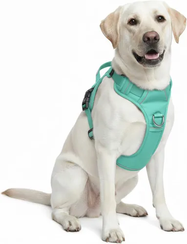 Miniatura 12 de Arnés sin tirones para perro, con 2 clips para correa, chaleco Oxford reflectante ajustable para mascotas con asa de fácil control para perros Negro