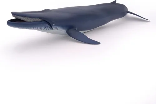 Miniatura 6 de Papo - Figura realista de ballena azul para niños - A partir de 3 años - Colección de vida marina - Juego educativo de mamíferos marinos - Juguete