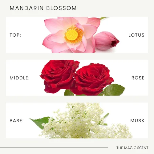 Miniatura 5 de Aceite Difusor de Esencia Mágica Mandarin Blossom - Aromas de Lujo para Hotel y Hogar Inspirados en las Maldivas - Aceites de Esencia para Difusor