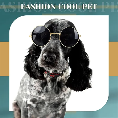 Miniatura 4 de Lentes de sol retro para mascotas, gafas de muñeca, gafas redondas clásicas para perro, gafas de metal para cachorros, disfraces hippie para gatos
