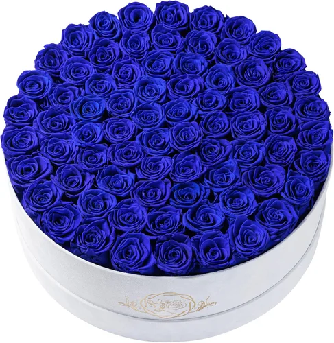 Miniatura 9 de Prifroti 17 flores en una caja de gamuza de lujo, regalos de cumpleaños para mujeres, flores preservadas, regalo de rosas para el día de la madre