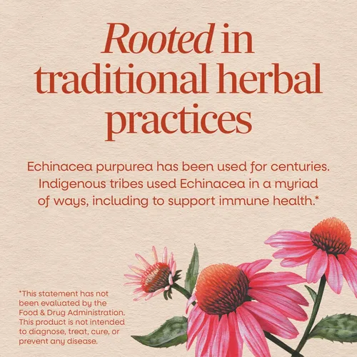 Miniatura 3 de Nature's Way Echinacea Purpurea, 1,200 mg por porción, 180 VCaps
