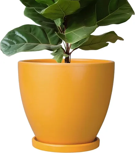 Miniatura 45 de Maceta para Plantas de 6.8 Pulgadas - Maceta de Cerámica con Orificio de Drenaje y Platillo, Maceta Redonda Moderna para Flores, Macetas