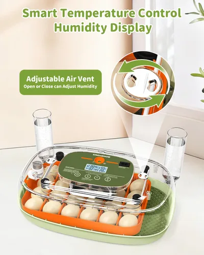 Miniatura 2 de Incubadora de huevos para 24 huevos de pollo con volteador automático, control digital de temperatura y pantalla de humedad, ovoscopio, incubadora