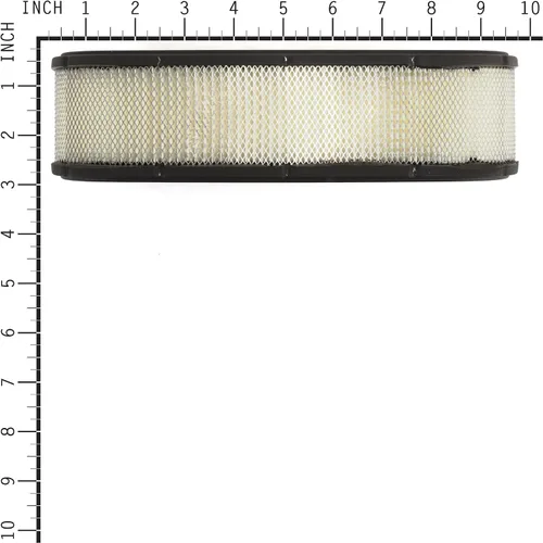Miniatura 2 de Briggs & Stratton Cartucho de filtro de aire ovalado 394019S