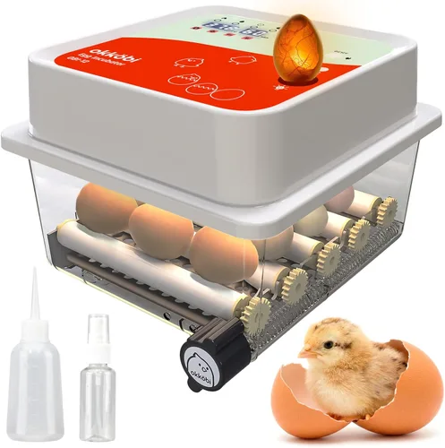 Miniatura 9 de OBI-12 Incubadoras de huevos para incubar huevos - Incubadora para 12 huevos con girador automático de huevos - criador para huevos de gallina