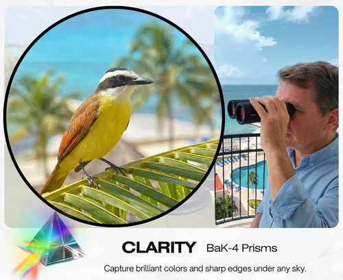 Miniatura 4 de Prismáticos Hontry de 10x42 con protección impermeable IPX7 para observación de aves, caza, cruceros, viajes y safari