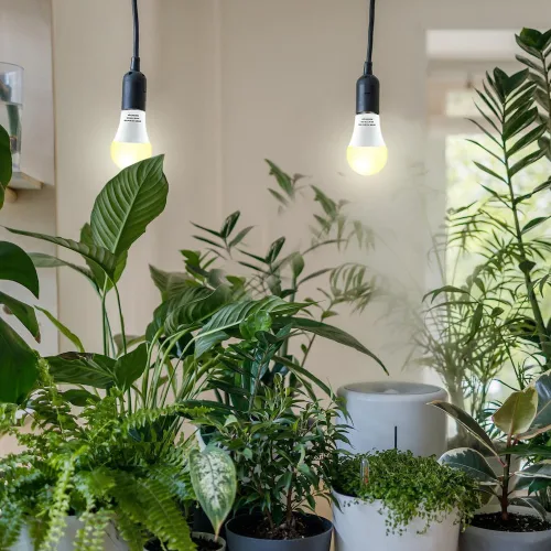Miniatura 3 de Paquete de 2 bombillas LED de cultivo A19, bombilla de espectro completo para plantas, bombilla de cultivo E26 de 9 W que reemplaza hasta 80 W, luz