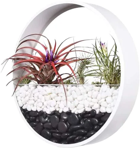 Miniatura 9 de Juego de 3 macetas redondas para colgar en pared, terrario para suculentas, contenedor con soporte de montaje independiente de metal, decorativo