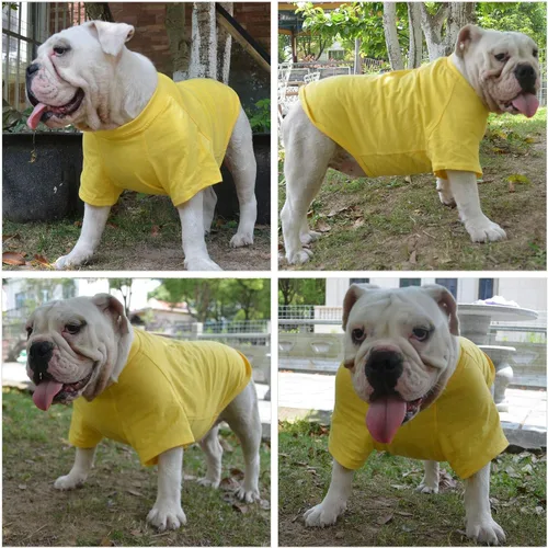 Miniatura 8 de Lovelonglong Ropa para mascotas, disfraces para perros, camiseta básica en blanco para perros medianos y grandes, color amarillo XXL