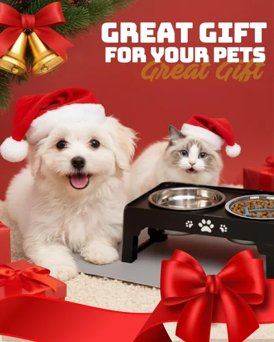 Miniatura 7 de Jovrun Cuencos elevados para perros y gatos pequeños con alfombra, cuencos antideslizantes para gatos con 1 plato de acero inoxidable y 1 cuenco