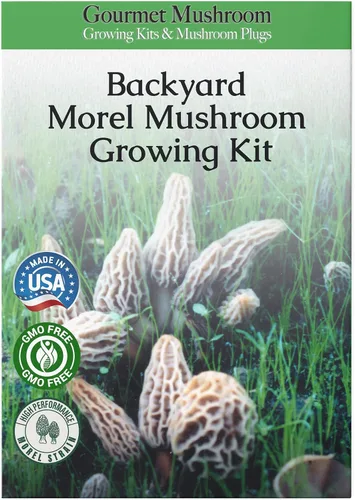 Miniatura 2 de Hábitat para cultivo de morillas, juego de cultivo de setas para el patio Compatible with Any Soil Type Across the U.S., Outdoor Garden & Backyard