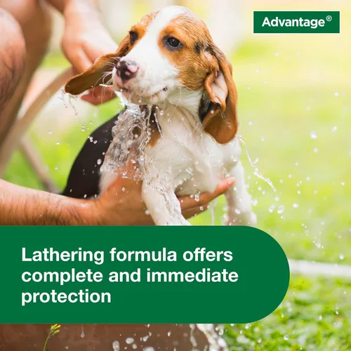 Miniatura 7 de Advantage Champú para pulgas y garrapatas para perros y perros adultos Mata pulgas y garrapatas 8 onzas