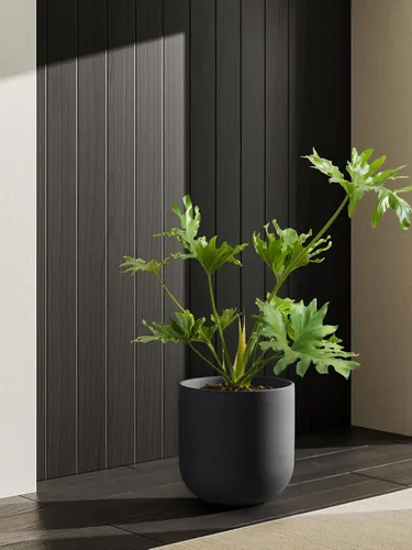 Miniatura 6 de LE TAUCI Maceta para plantas de 10 pulgadas, macetas de cerámica para plantas con orificio de drenaje y tapón de goma, macetas para plantas