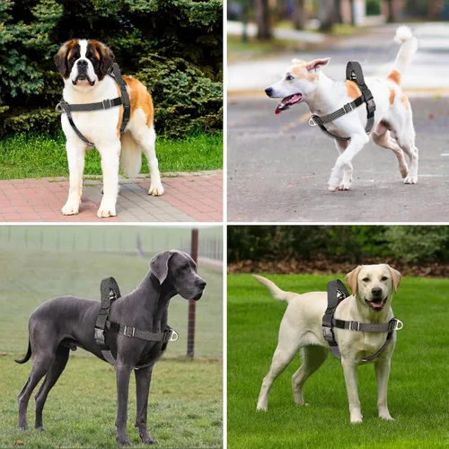 Miniatura 7 de Annchwool Arnés ajustable para perro, ligero, sin tirones, con asa para perros pequeños, medianos y grandes, clip frontal, arnés de chaleco fácil