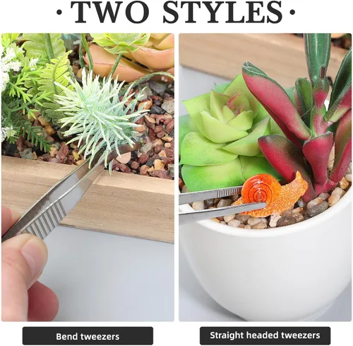 Miniatura 8 de jojofuny 5pcs Succulent Gardening Tweezers Stainless Steel Plant Transplanting Tools for Seedlings Flower Succulent Care Lightweight Portable Hand