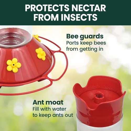Miniatura 4 de Perky-Pet 209B-1SR - Comederos de vidrio para colibríes para colgar en exteriores, capacidad de néctar de 30 onzas líquidas, comedero para pájaros