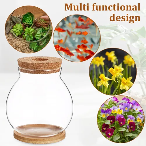 Miniatura 3 de balacoo Betta Fish Bowl - Tanque de cristal Betta con cojín hidropónico, terrario para decoración de oficina en casa, pecera pequeña para ecosistema