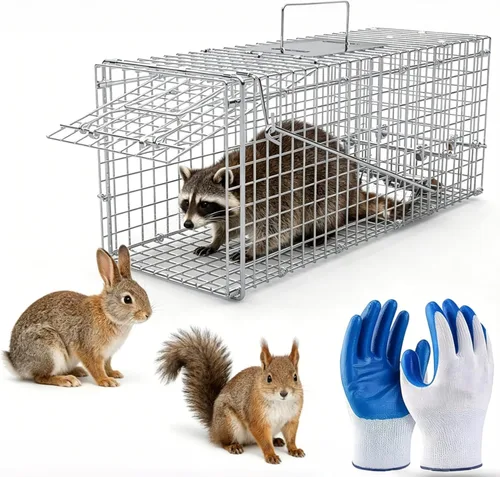 Miniatura 13 de Trampa de jaula de animales vivos de 31 pulgadas, trampa plegable resistente para gatos callejeros, mapaches, ardillas, zorrillos, marmotas, topos