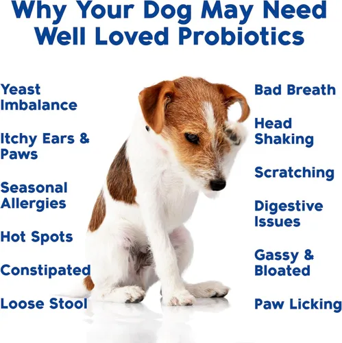 Miniatura 5 de Well Loved Probióticos para perros, probióticos para perros, fabricados en Estados Unidos, desarrollados por veterinarios para la salud intestinal