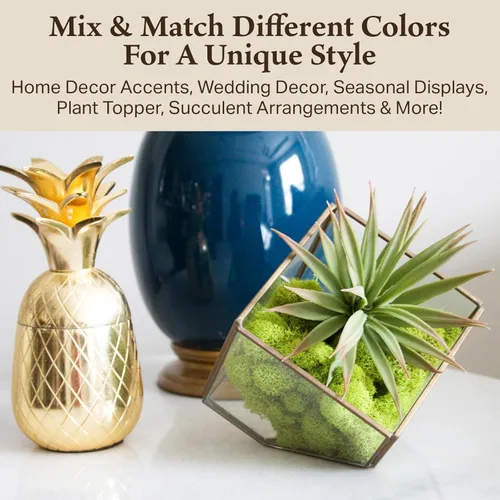 Miniatura 5 de Quality Growers - Musgo de reno preservado - Musgo para manualidades, decoración del hogar, arte, diseño y proyectos de bricolaje - No tóxico