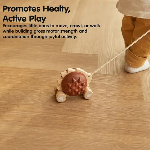 Miniatura 5 de PlanToys® Erizo de madera Juguete Montessori para niños pequeños Juguete para caminar con sonido, aprendizaje temprano, equilibrio y Erizo Pull