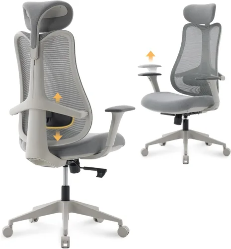 Nouhaus Fluido - Silla de oficina ergonómica, silla de computadora de malla con respaldo alto y soporte lumbar ajustable en altura, respaldo y Gris