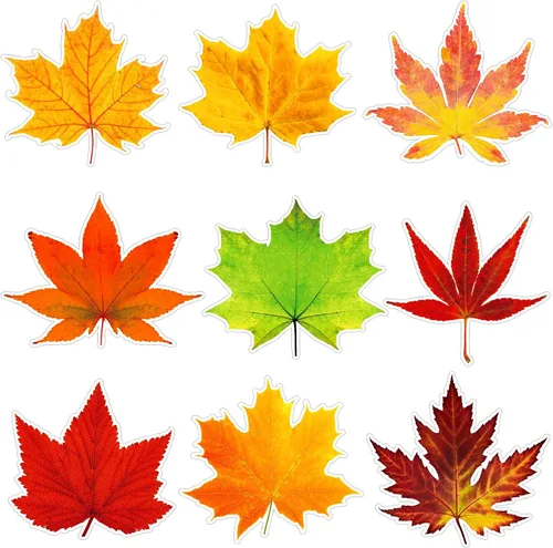 Miniatura 7 de Ferraycle 135 piezas de decoración de tablón de anuncios de otoño, hojas artificiales de otoño, hojas de arce con punto de pegamento para decoración