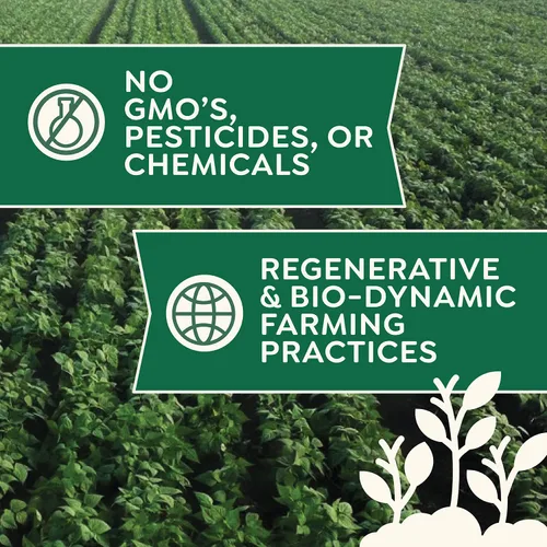Miniatura 5 de Frijoles rojos oscuros secos orgánicos, 1 libra, sin OMG, orgánicos USDA, cultivados a partir de suelo regenerativo, certificado limpio probado