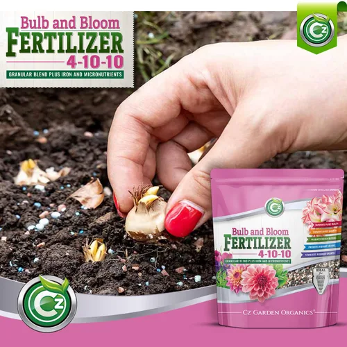 Miniatura 3 de 4-10-10 - Fertilizante para bulbos y flores, fabricado en Estados Unidos, 2% de hierro + micronutrientes, alimento para plantas para jardines