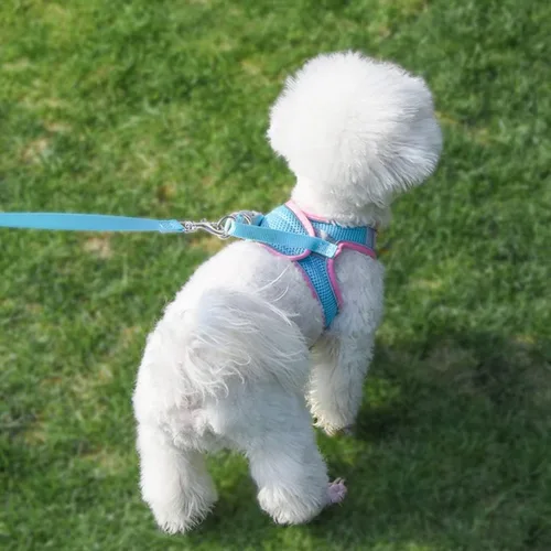 Miniatura 6 de Juego de arnés y correa para perro pequeño, arnés sin tirones para cachorros para caminar al aire libre, chaleco reflectante de malla transpirable