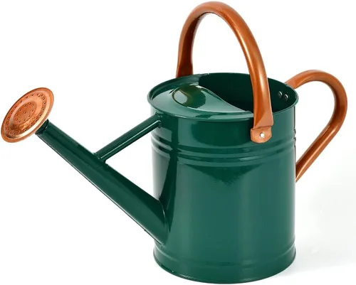 Miniatura 11 de Regadera de metal, latas de riego de un galón de acero inoxidable para riego de plantas de jardín interiores y exteriores (zinc de 1 galón)