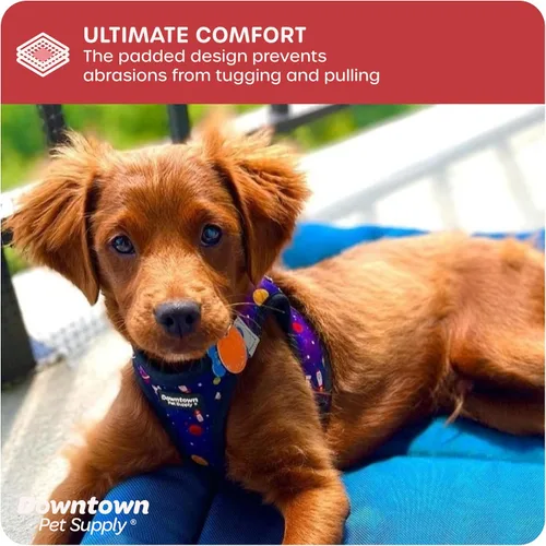 Miniatura 6 de Downtown Pet Supply Arnés para perro Step-in – Sin tirones, malla acolchada ajustable con ribete reflectante, correa de hebilla segura – Arnés