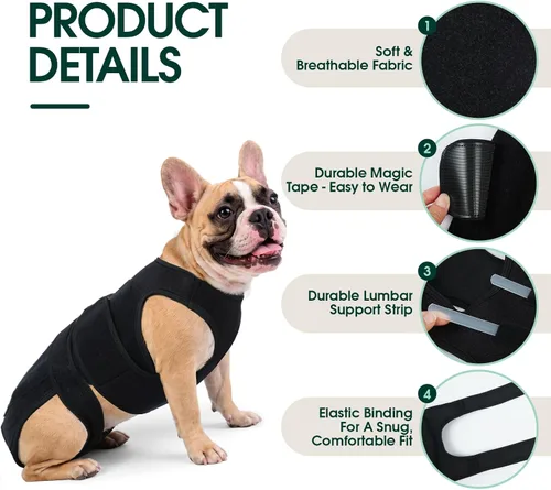 Miniatura 3 de Soporte de espalda para perro para IVDD y recuperación espinal, chaleco de apoyo transpirable ajustable para perro, protector lumbar para perros