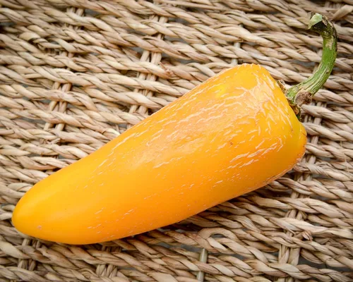Semillas prémium de pimienta jalapeño amarilla gigante para plantar paquetes récord más caliente del mundo + más