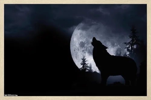 Miniatura 7 de Trends International Póster de pared de lobo - aullido, 14.725 x 22.375 pulgadas, versión enmarcada de madera de granero