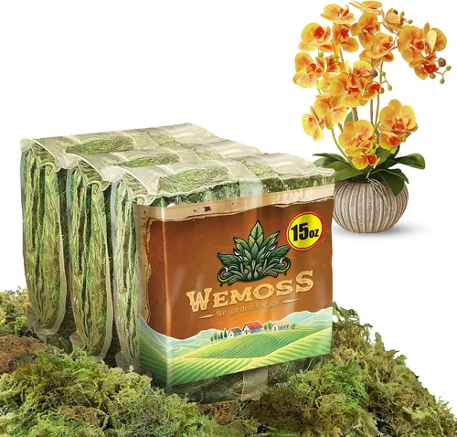 Musgo natural para plantas de interior, musgo seco para plantas en maceta, musgo de orquídea para trasplantar, musgo de bosque para mezcla de