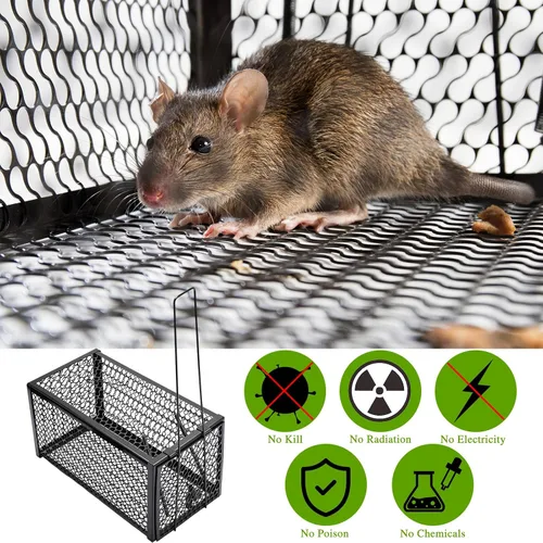 Miniatura 6 de Qualirey Trampa humana para ratas, ardilla, roedor, ratón, ardilla, trampa para ardillas, 11 x 6 x 6 pulgadas, para animales vivos, ratones