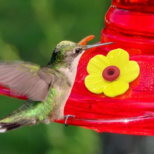 Miniatura 6 de Juego de 20 flores de repuesto para comedero de colibríes con 2 cepillos de limpieza, piezas de repuesto para colgar alimentación de colibríes al